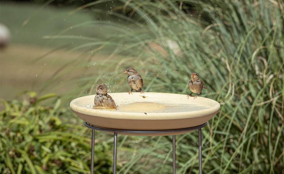 Bird Bath Granicium® with Stand