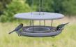 Bird Table Granicium® with Mounting