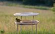 Stand for the Bird Table