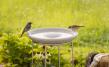 Stand for the Bird Bath