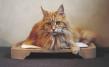 Minkas-Kachelofen - das elektrisch beheizte Katzenbett